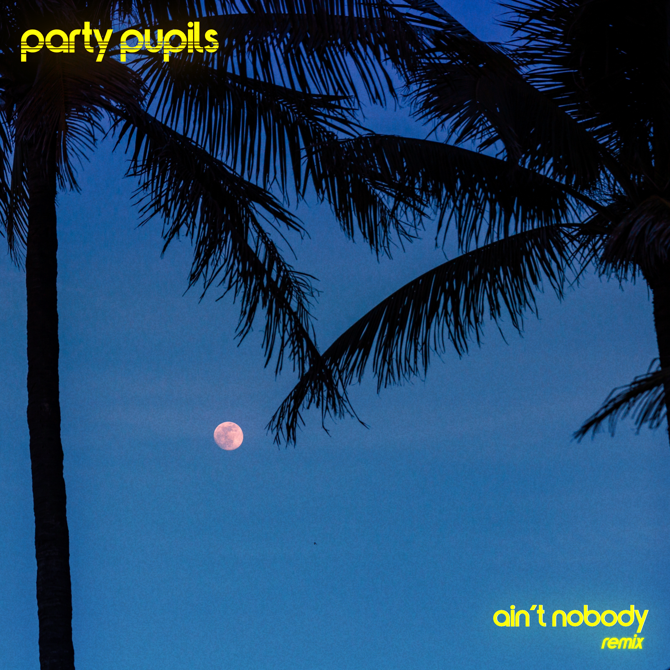 Ain't Nobody (Party Pupils Remix)